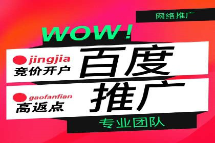 百度竞价广告投放案例解析