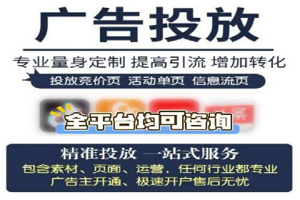 高效SEM托管服务：成功案例深度解析